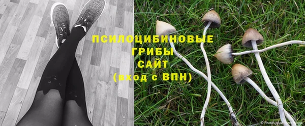 мдма Зеленодольск