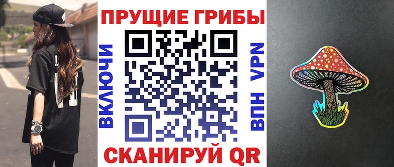 Галлюциногенные грибы Psilocybe  Купить где  Искитим 